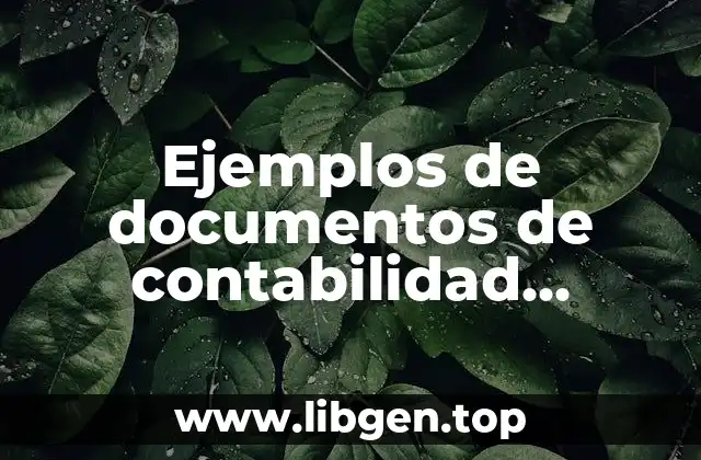 Ejemplos de documentos de contabilidad financiera