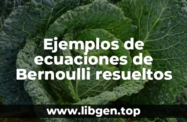Ejemplos de ecuaciones de Bernoulli resueltos