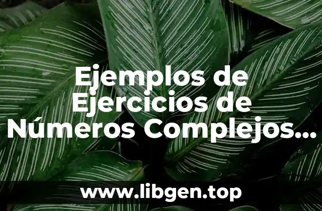 Ejemplos de Ejercicios de Números Complejos y Significado
