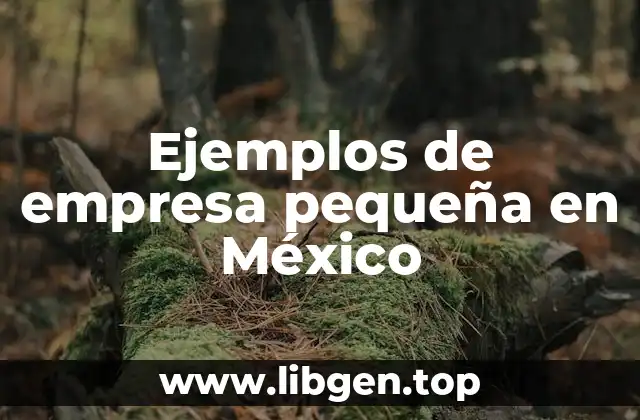 Ejemplos de empresa pequeña en México