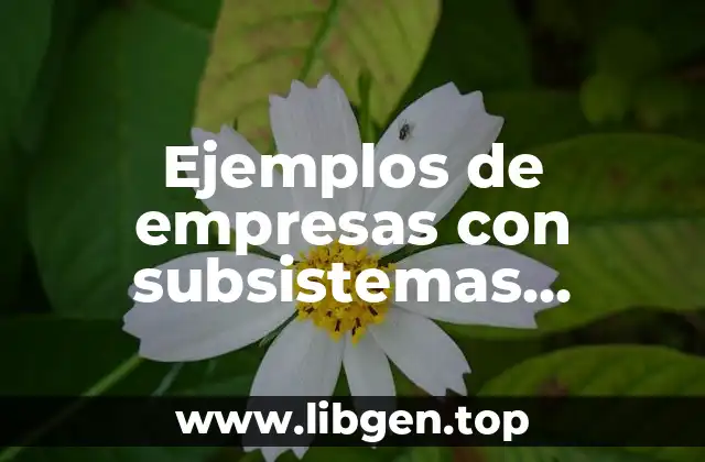 Ejemplos de empresas con subsistemas técnicos