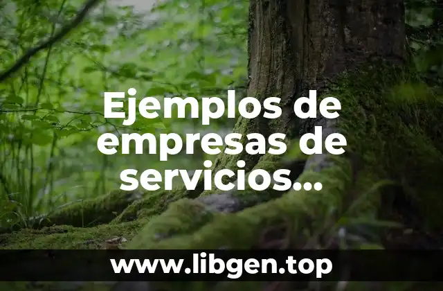 Ejemplos de empresas de servicios comerciales e industriales