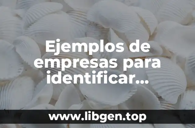Ejemplos de empresas para identificar particularidades de su