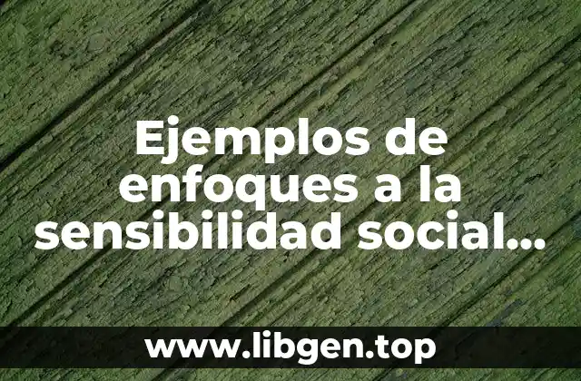 Ejemplos de enfoques a la sensibilidad social corporativa