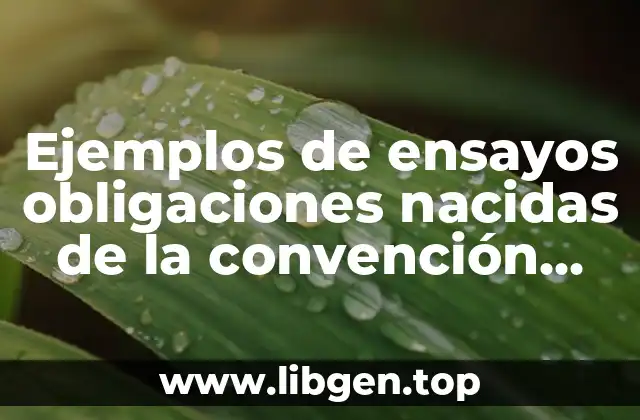 Ejemplos de ensayo obligación nacida de la convención derechos romanos