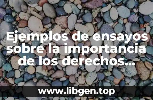 Ejemplos de ensayos sobre la importancia de los derechos humanos
