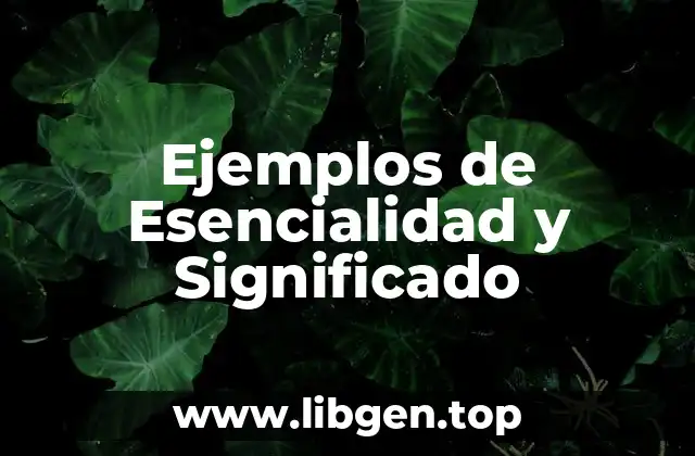 Ejemplos de Esencialidad y Significado