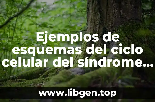 Ejemplos de esquemas del ciclo celular del síndrome de Down