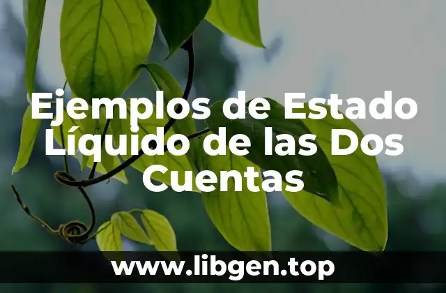 Ejemplos de Estado Líquido de las Dos Cuentas