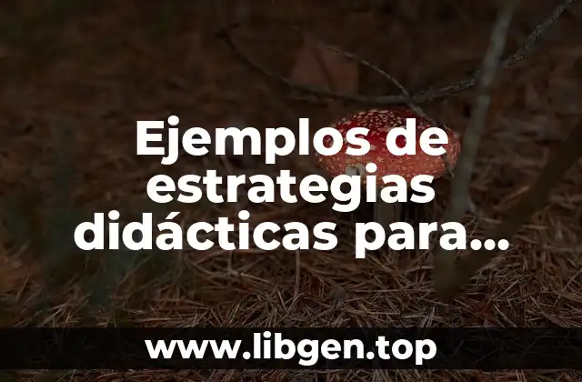 Ejemplos de estrategias didácticas para alumnos con necesidades especiales