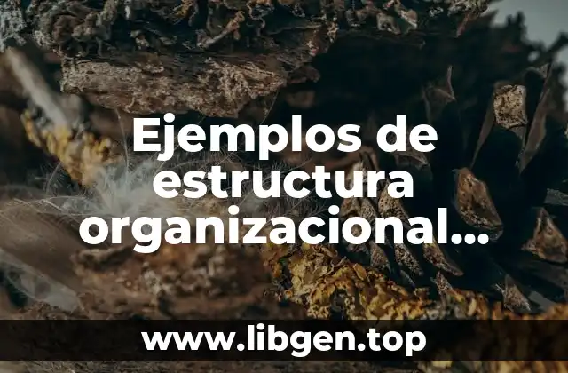 Ejemplos de estructura organizacional matricial