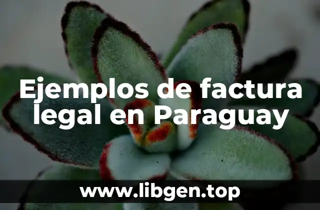Ejemplos de factura legal en Paraguay