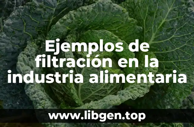 Ejemplos de filtración en la industria alimentaria
