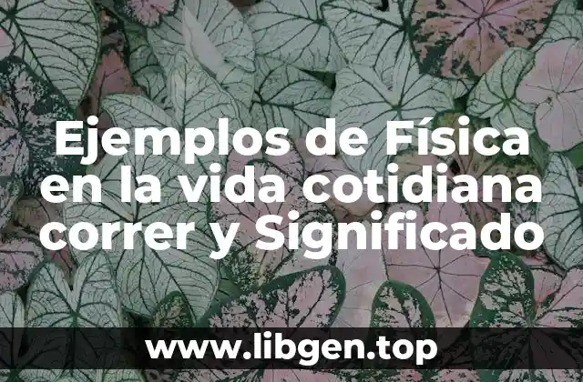 Ejemplos de Física en la vida cotidiana correr y Significado