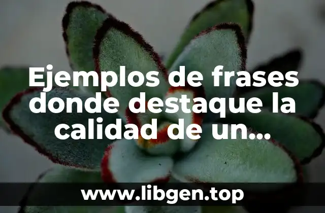 Ejemplos de frases donde destaque la calidad de un producto