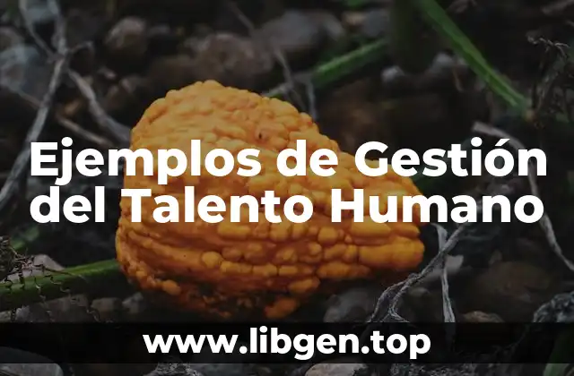Ejemplos de Gestión del Talento Humano