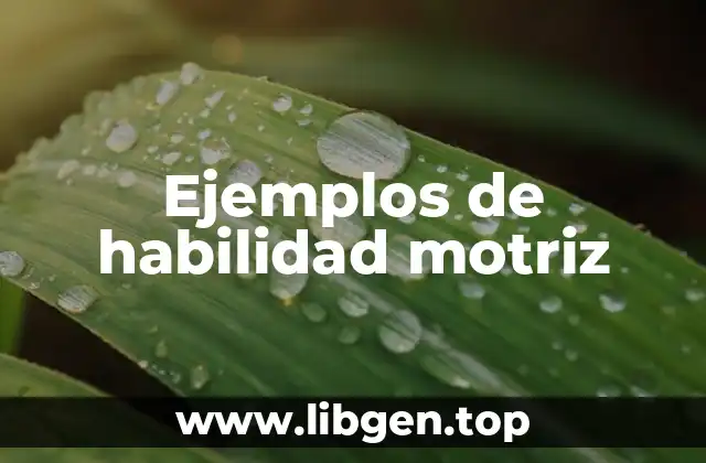 Ejemplos de habilidad motriz