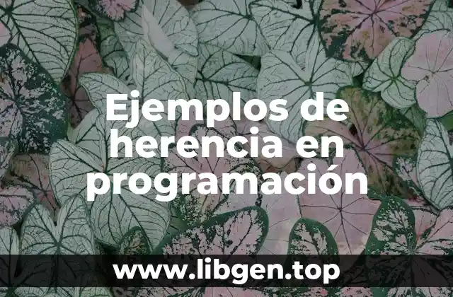 Ejemplos de herencia en programación