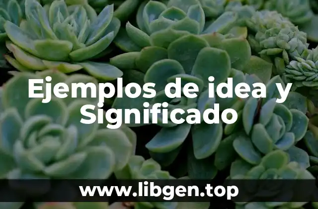Ejemplos de idea y Significado