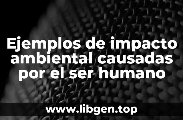 Ejemplos de impacto ambiental causadas por el ser humano