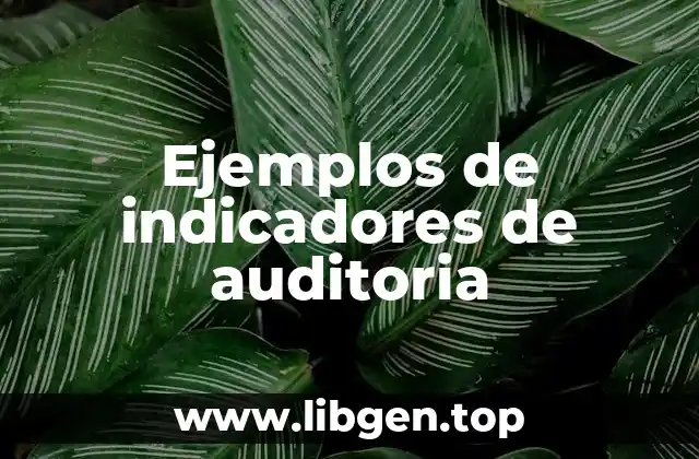 Ejemplos de indicadores de auditoria