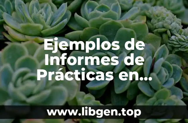 Ejemplos de Informes de Prácticas en Institución Educativa Trabajo Social y Significado