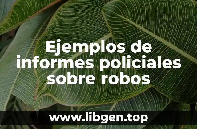 Ejemplos de informes policiales sobre robos
