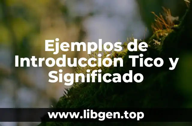 Ejemplos de Introducción Tico y Significado