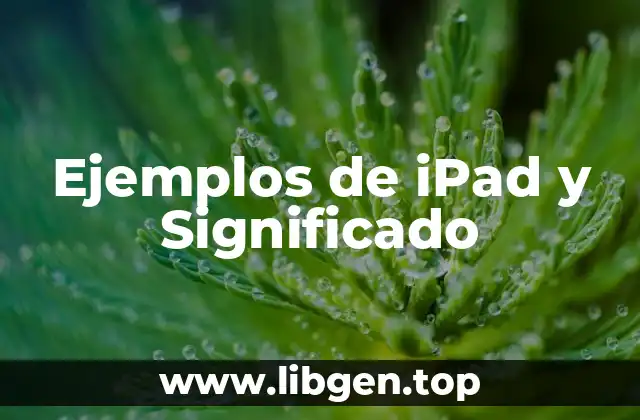 Ejemplos de iPad y Significado