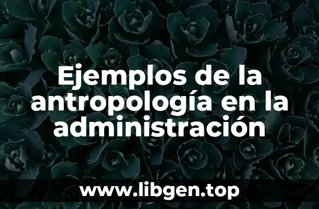 Ejemplos de la antropología en la administración