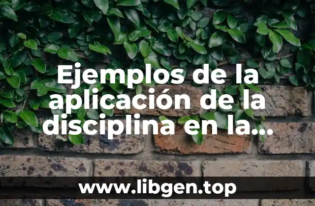Ejemplos de la aplicación de la disciplina en la sociedad