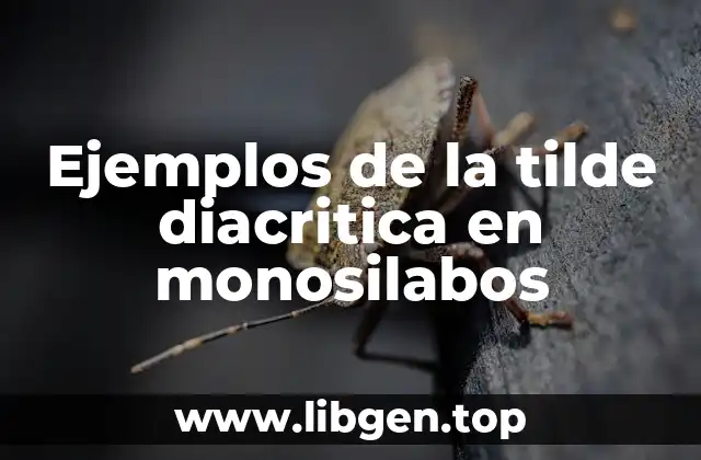Ejemplos de la tilde diacritica en monosilabos