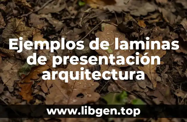 Ejemplos de laminas de presentación arquitectura
