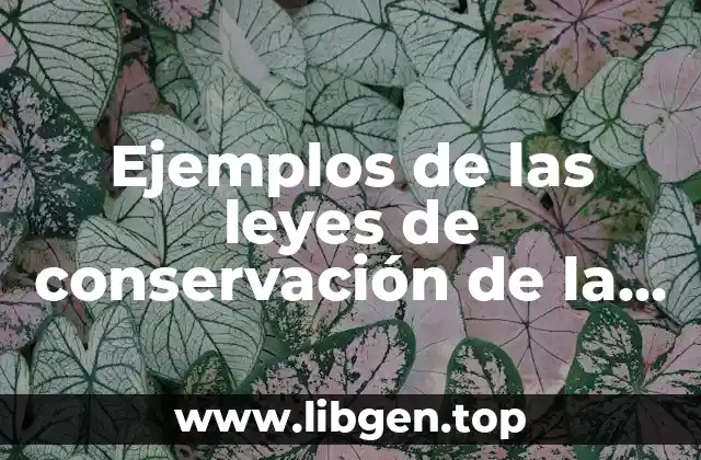 Ejemplos de las leyes de conservación de la materia