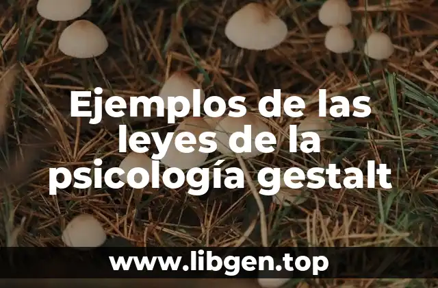 Ejemplos de las leyes de la psicología gestalt