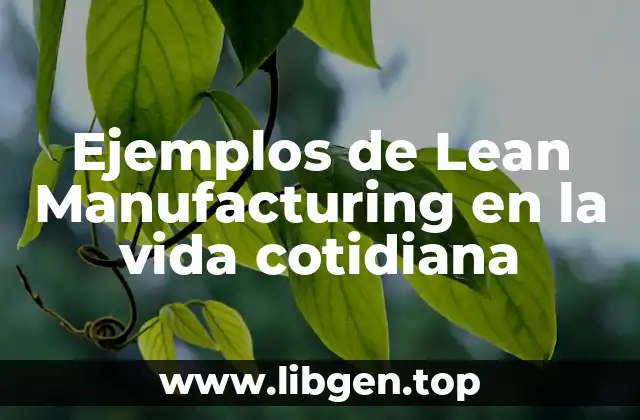 Ejemplos de Lean Manufacturing en la vida cotidiana