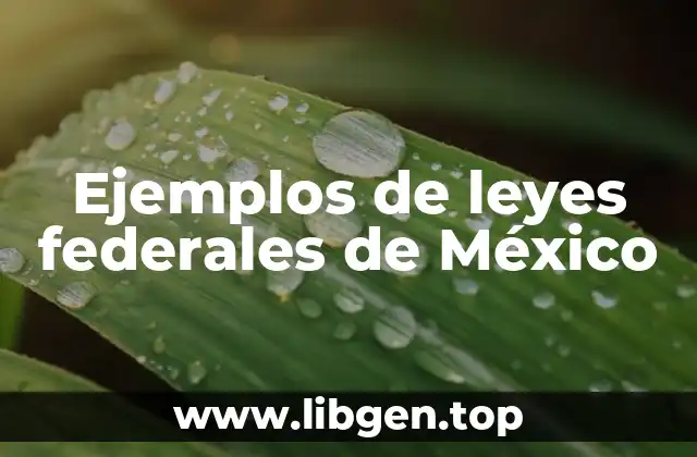 Ejemplos de leyes federales en México