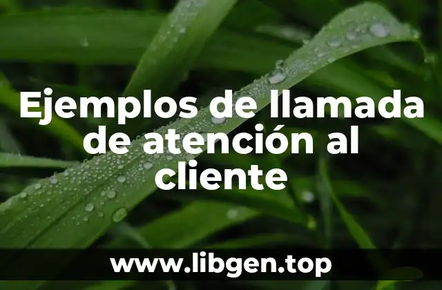 Ejemplos de llamada de atención al cliente