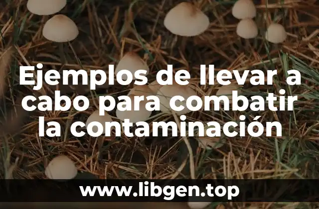 Ejemplos de llevar a cabo para combatir la contaminación