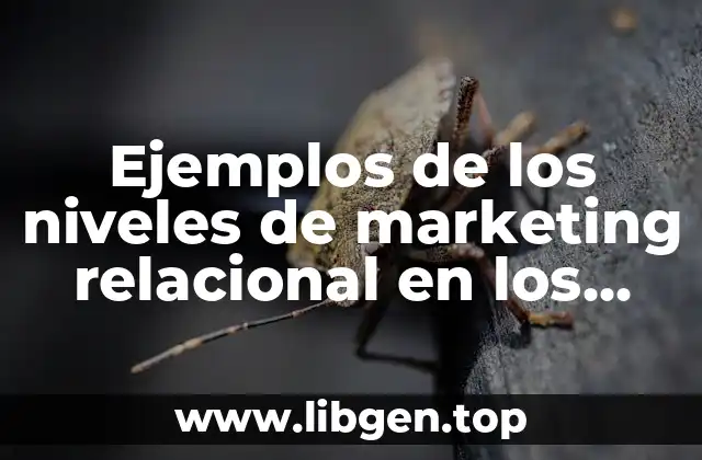 Ejemplos de los niveles de marketing relacional en los servicios