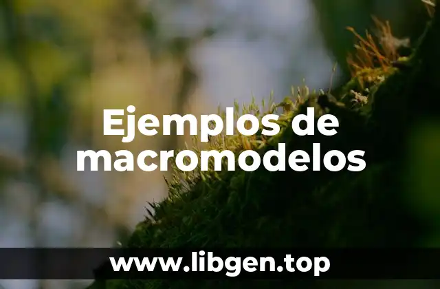 Ejemplos de macromodelos