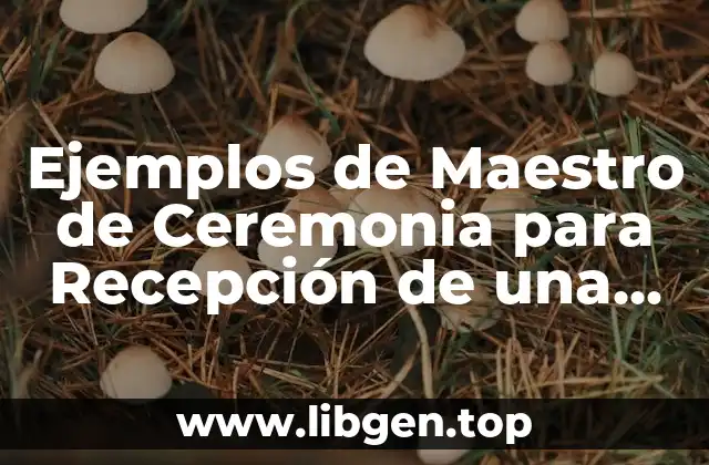 Ejemplos de Maestros de Ceremonia para Recepción de una Boda