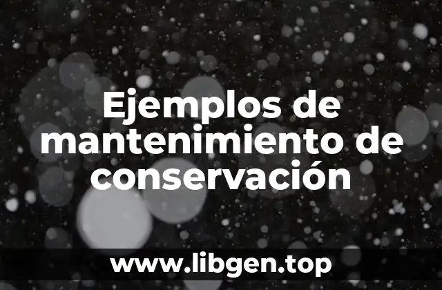 Ejemplos de mantenimiento de conservación