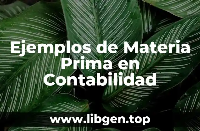 Ejemplos de Materia Prima en Contabilidad