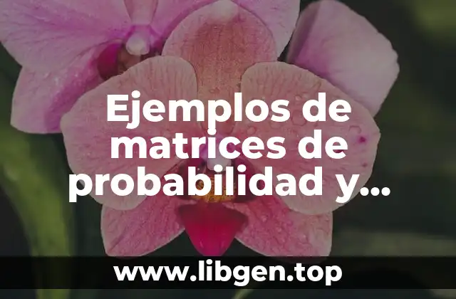 Ejemplos de matrices de probabilidad y consecuencia seguridad e higiene
