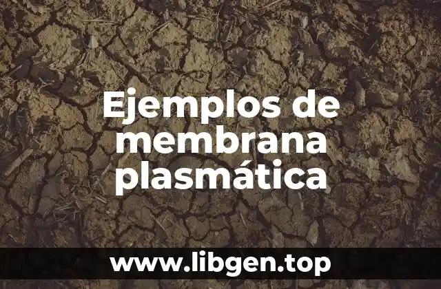 Ejemplos de membrana plasmática