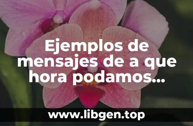 Ejemplos de mensajes de a que hora podamos vernos
