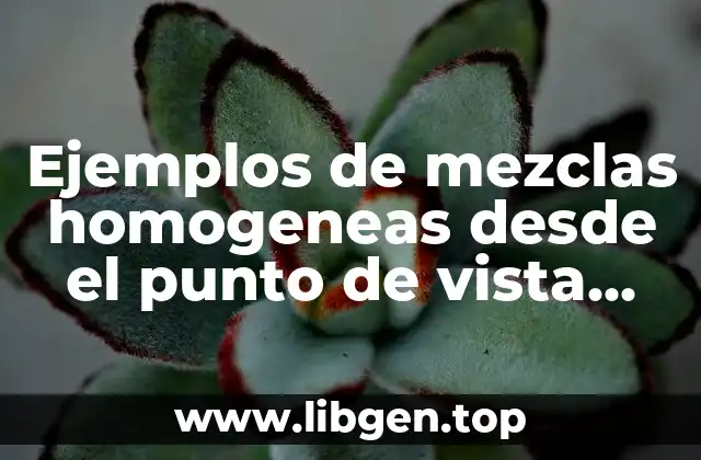 Ejemplos de mezclas homogeneas desde el punto de vista quimico