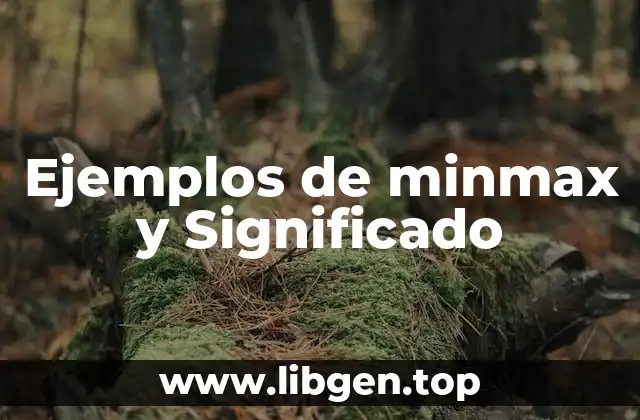 Ejemplos de minmax y Significado