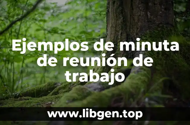 Ejemplos de minuta de reunión de trabajo
